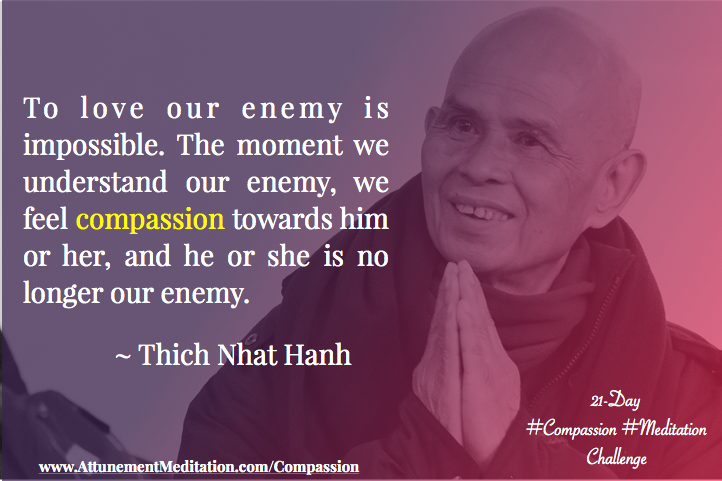 Day 17: To love our enemy is impossible ~ Thich Nhat Hanh